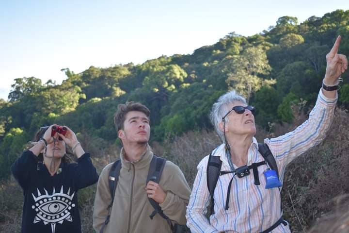 Beyond the Elephants: Mapping Biodiversity in the Forests of Chiang Mai