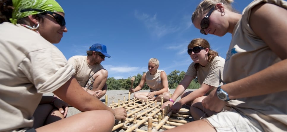 A Day on the Beach: What Sea Turtle Conservation Actually Looks Like