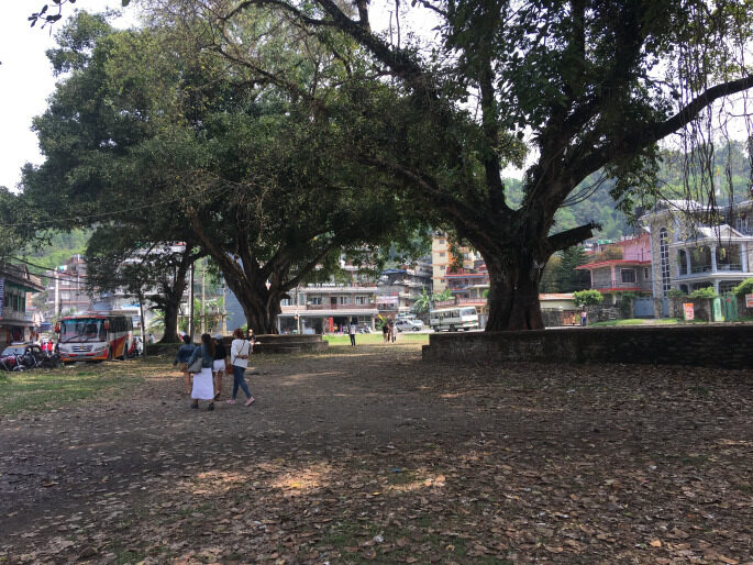 Cricket at Cow Park: An Afternoon in the Life of Pokhara