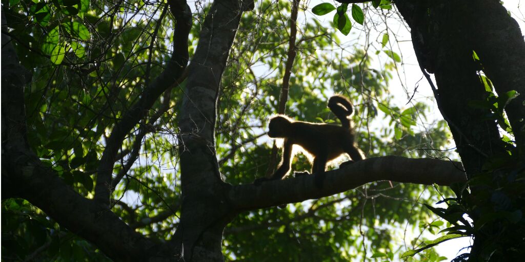 Costa Rica's Climate Ambitions, and How You Can Be Part of Them
