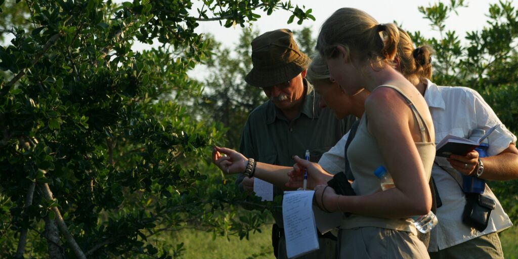 Excellent reasons to volunteer this year