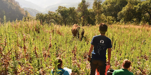 Ten ways to travel more responsibly