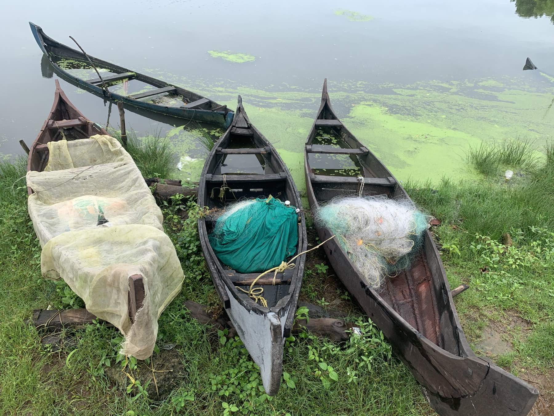 Lakeside canoes