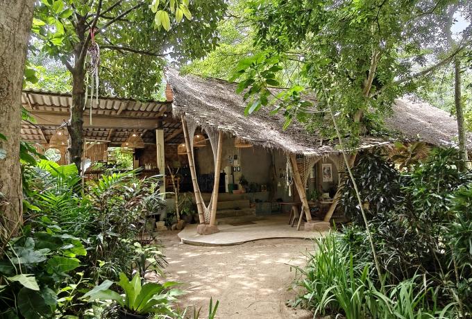 Ao Nang, Krabi - Coastal Conservation & Regenerative Living 
