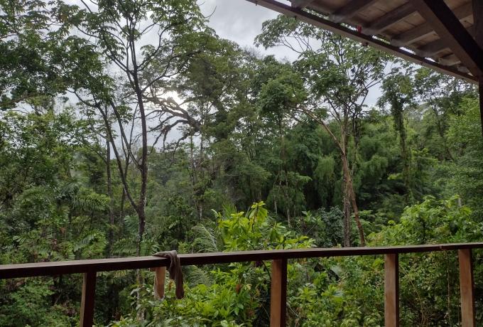 Kéköldi Rainforest Project