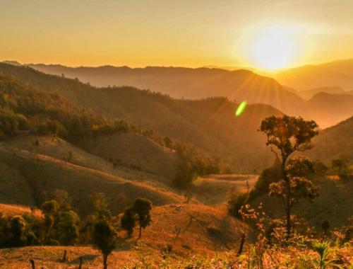 Beyond the Elephants: Mapping Biodiversity in the Forests of Chiang Mai