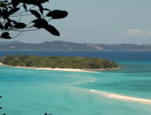 Discovering Madagascar, the eighth continent