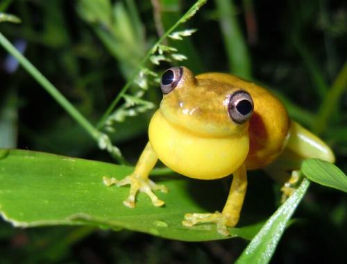 Costa Rica's Climate Ambitions, and How You Can Be Part of Them
